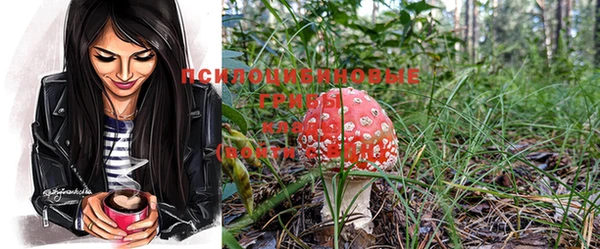 хмурый Наволоки