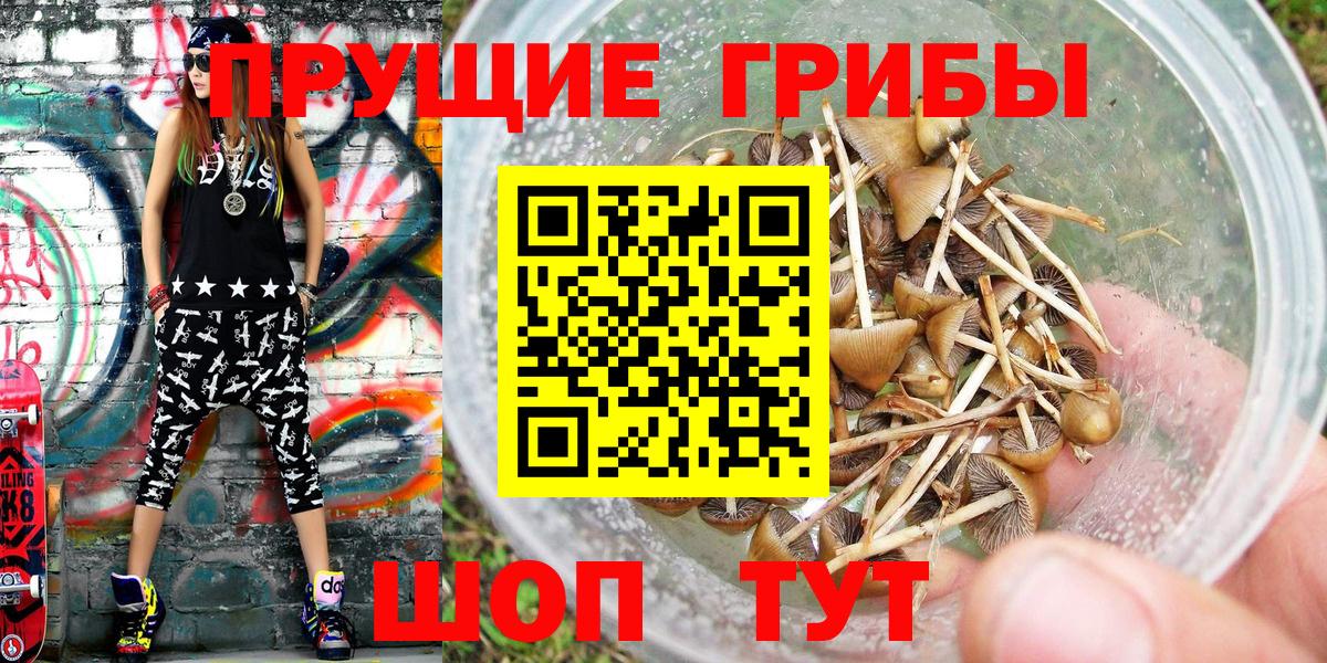 Псилоцибиновые грибы мухоморы Фурманов