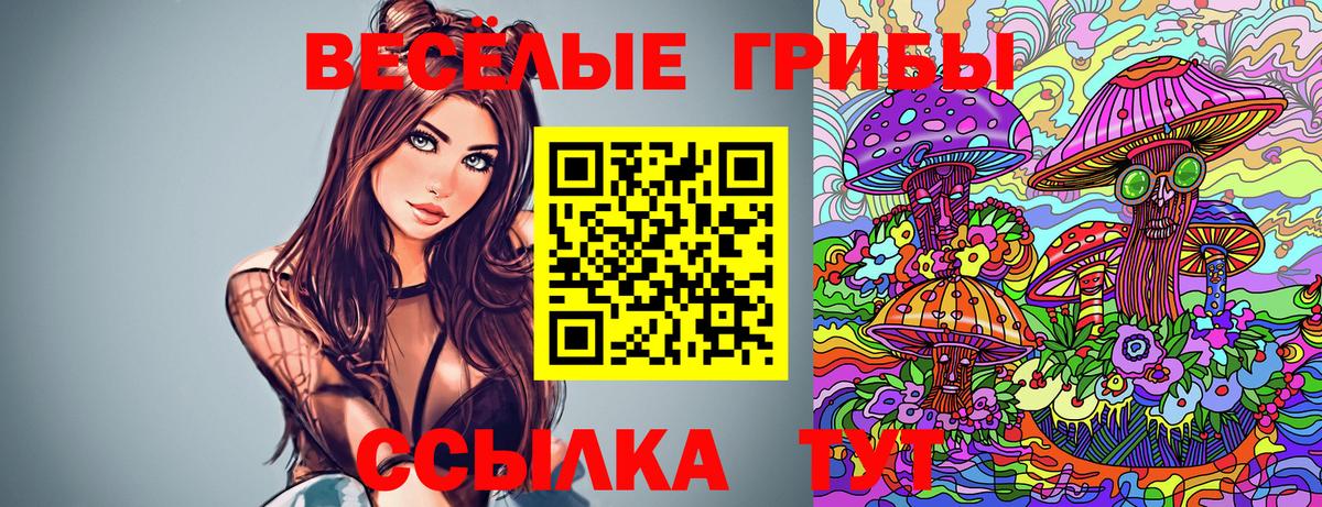 Псилоцибиновые грибы Magic Shrooms  Псилоцибиновые грибы прущие грибы  Фурманов  Вход с VPN 